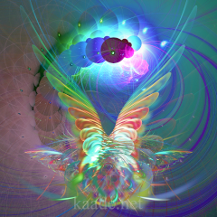Fractal Image: a butterfly-like figure of warm hues floats against the background of circling and morphing patterns.